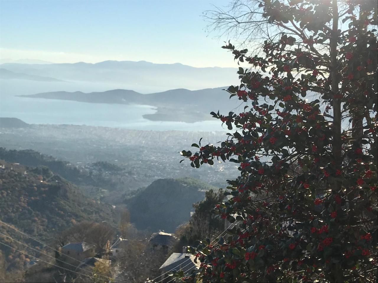 1822 Makrinitsa Suites Exteriér fotografie